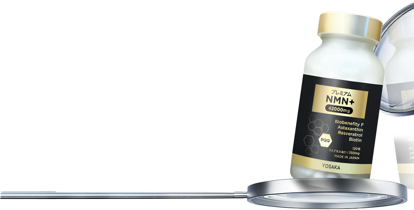 「エネルギー工場」<br>